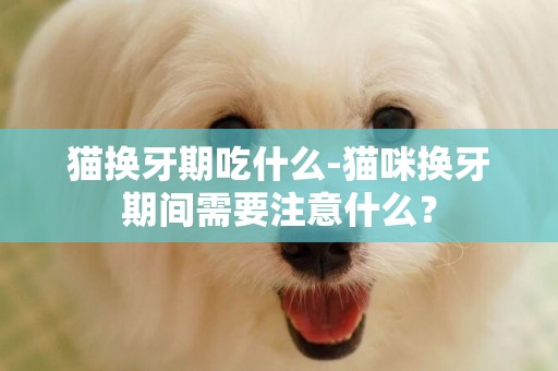 貓換牙期吃什么-貓咪換牙期間需要注意什么？