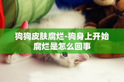 狗狗皮膚腐爛-狗身上開始腐爛是怎么回事