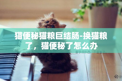 貓便秘貓糧巨結腸-換貓糧了，貓便秘了怎么辦