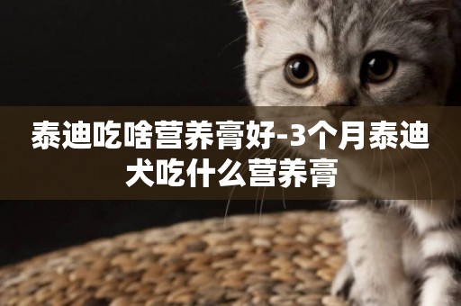 泰迪吃啥營養膏好-3個月泰迪犬吃什么營養膏