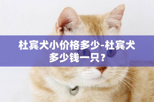 杜賓犬小價格多少-杜賓犬多少錢一只？