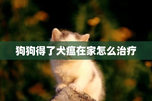 狗狗得了犬瘟在家怎么治療