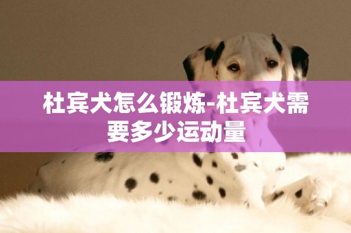 杜賓犬怎么鍛煉-杜賓犬需要多少運動量
