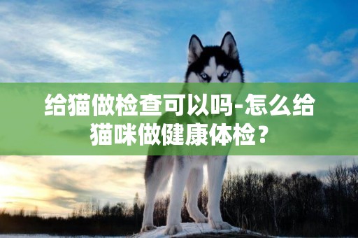 給貓做檢查可以嗎-怎么給貓咪做健康體檢？