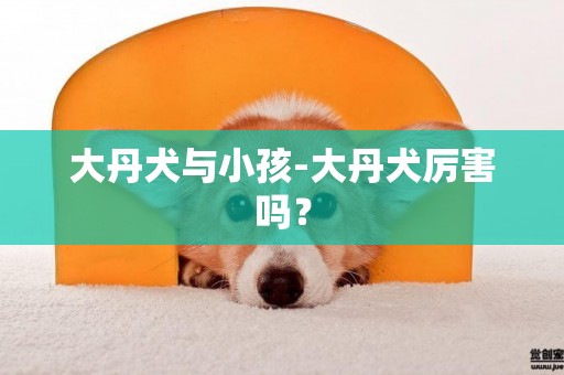 大丹犬與小孩-大丹犬厲害嗎？