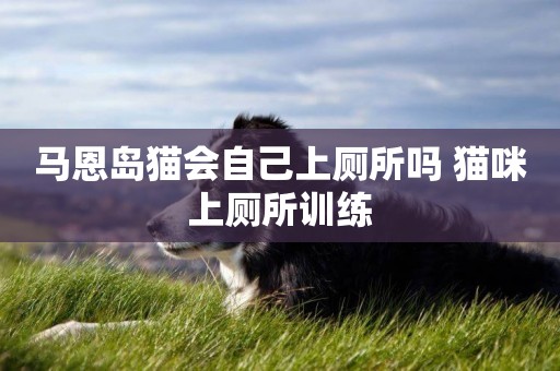 馬恩島貓會自己上廁所嗎 貓咪上廁所訓練