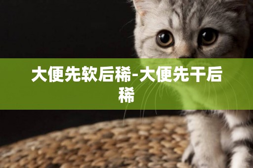 大便先軟后稀-大便先干后稀