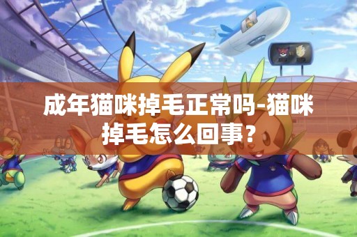 成年貓咪掉毛正常嗎-貓咪掉毛怎么回事？