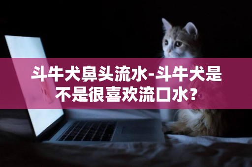 斗牛犬鼻頭流水-斗牛犬是不是很喜歡流口水？