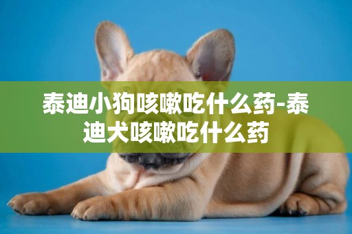 泰迪小狗咳嗽吃什么藥-泰迪犬咳嗽吃什么藥