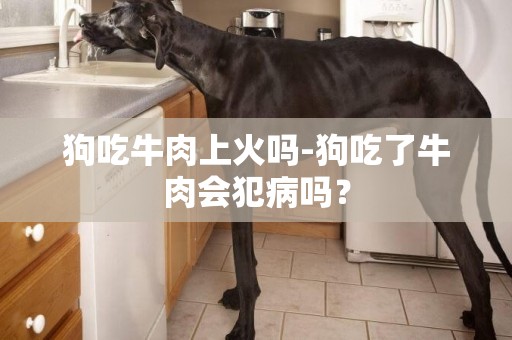 狗吃牛肉上火嗎-狗吃了牛肉會犯病嗎？