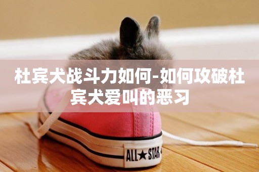 杜賓犬戰斗力如何-如何攻破杜賓犬愛叫的惡習