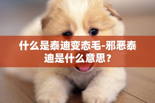 什么是泰迪變態毛-邪惡泰迪是什么意思？