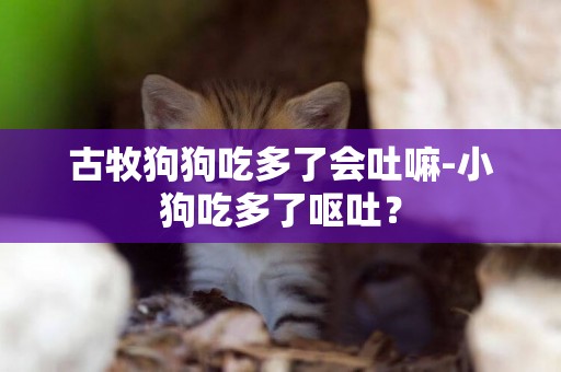 古牧狗狗吃多了會吐嘛-小狗吃多了嘔吐？