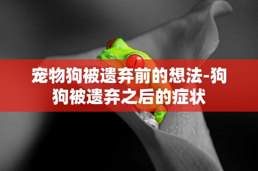 寵物狗被遺棄前的想法-狗狗被遺棄之后的癥狀