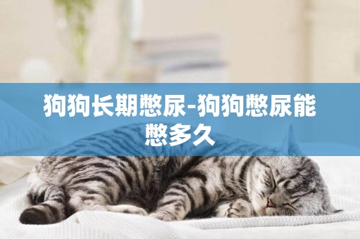 狗狗長期憋尿-狗狗憋尿能憋多久