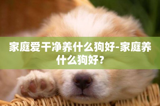 家庭愛干凈養什么狗好-家庭養什么狗好？
