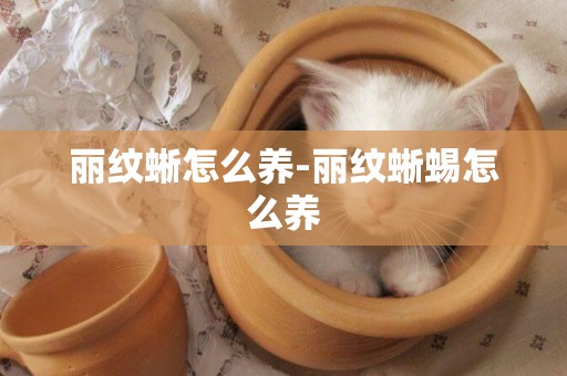 麗紋蜥怎么養-麗紋蜥蜴怎么養