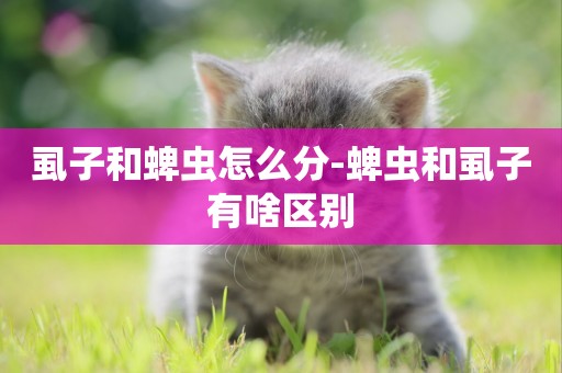 虱子和蜱蟲怎么分-蜱蟲和虱子有啥區別