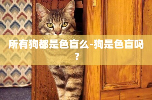 所有狗都是色盲么-狗是色盲嗎？