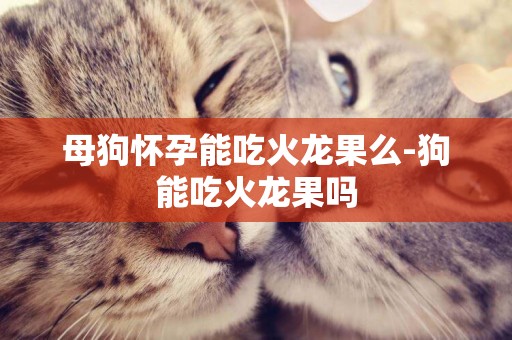 母狗懷孕能吃火龍果么-狗能吃火龍果嗎