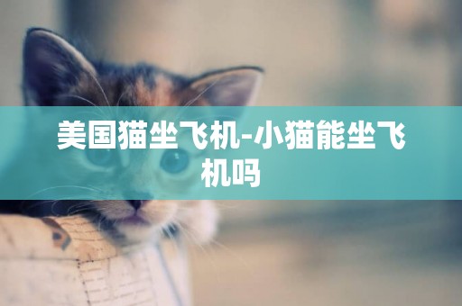 美國貓坐飛機-小貓能坐飛機嗎
