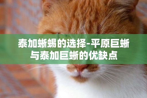 泰加蜥蜴的選擇-平原巨蜥與泰加巨蜥的優缺點