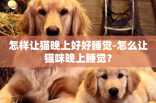 怎樣讓貓晚上好好睡覺-怎么讓貓咪晚上睡覺？