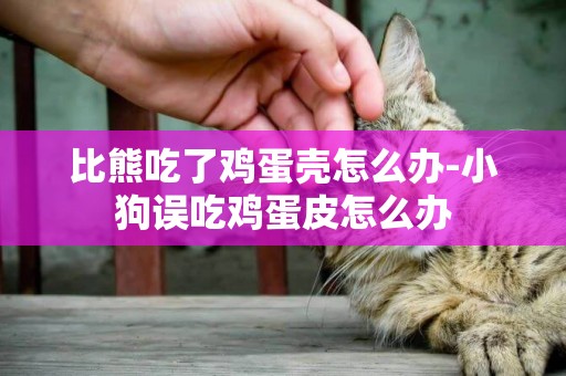 比熊吃了雞蛋殼怎么辦-小狗誤吃雞蛋皮怎么辦