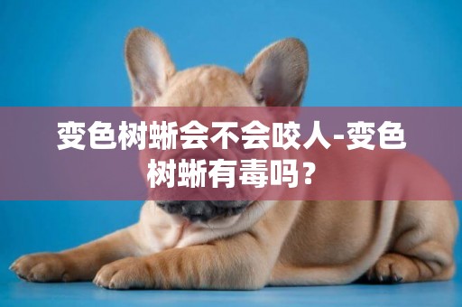 變色樹蜥會不會咬人-變色樹蜥有毒嗎？
