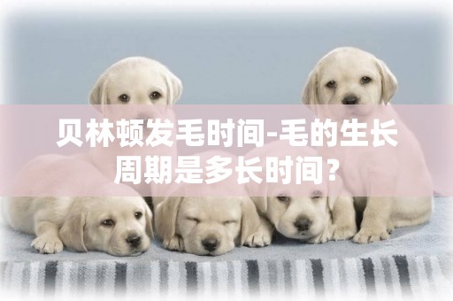 貝林頓發毛時間-毛的生長周期是多長時間？