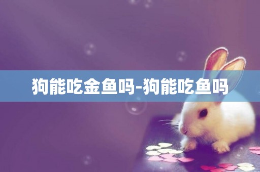 狗能吃金魚嗎-狗能吃魚嗎