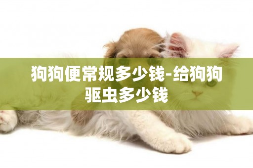 狗狗便常規多少錢-給狗狗驅蟲多少錢