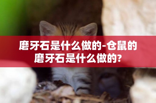 磨牙石是什么做的-倉鼠的磨牙石是什么做的?