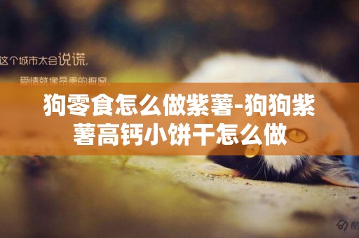 狗零食怎么做紫薯-狗狗紫薯高鈣小餅干怎么做