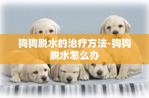 狗狗脫水的治療方法-狗狗脫水怎么辦