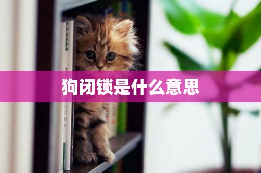 狗閉鎖是什么意思