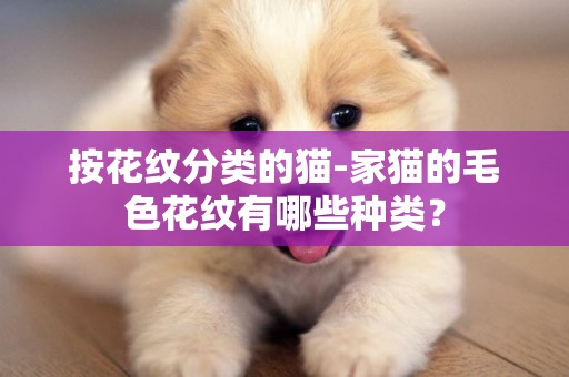 按花紋分類的貓-家貓的毛色花紋有哪些種類？