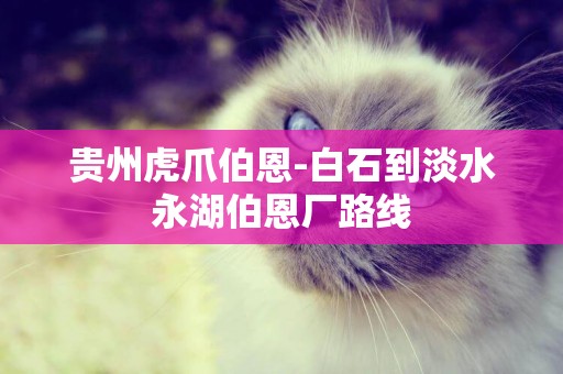 貴州虎爪伯恩-白石到淡水永湖伯恩廠路線