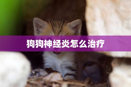 狗狗神經炎怎么治療