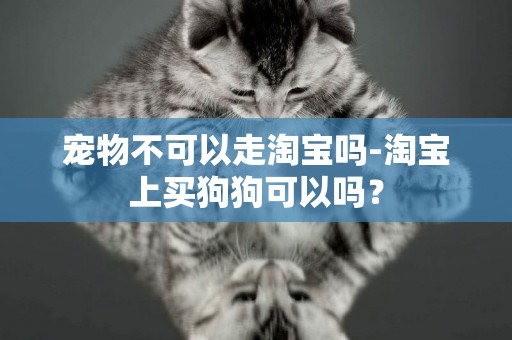 寵物不可以走淘寶嗎-淘寶上買狗狗可以嗎？