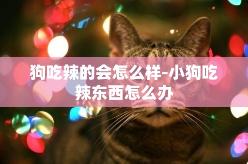 狗吃辣的會怎么樣-小狗吃辣東西怎么辦