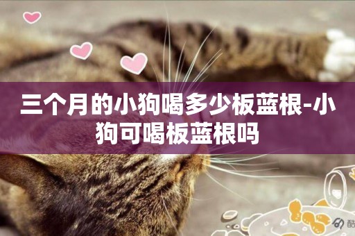 三個月的小狗喝多少板藍根-小狗可喝板藍根嗎