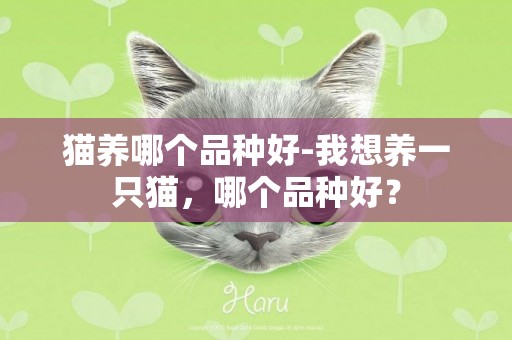 貓養哪個品種好-我想養一只貓，哪個品種好？