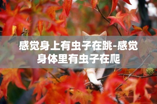 感覺身上有蟲子在跳-感覺身體里有蟲子在爬