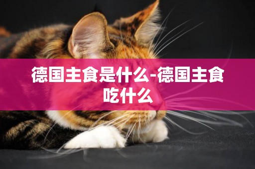 德國主食是什么-德國主食吃什么