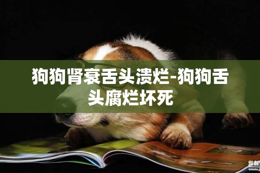 狗狗腎衰舌頭潰爛-狗狗舌頭腐爛壞死