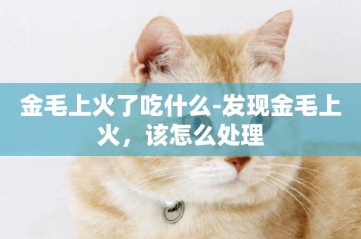 金毛上火了吃什么-發現金毛上火，該怎么處理