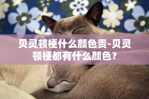 貝靈頓梗什么顏色貴-貝靈頓梗都有什么顏色？