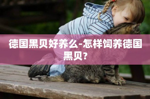 德國黑貝好養么-怎樣飼養德國黑貝?